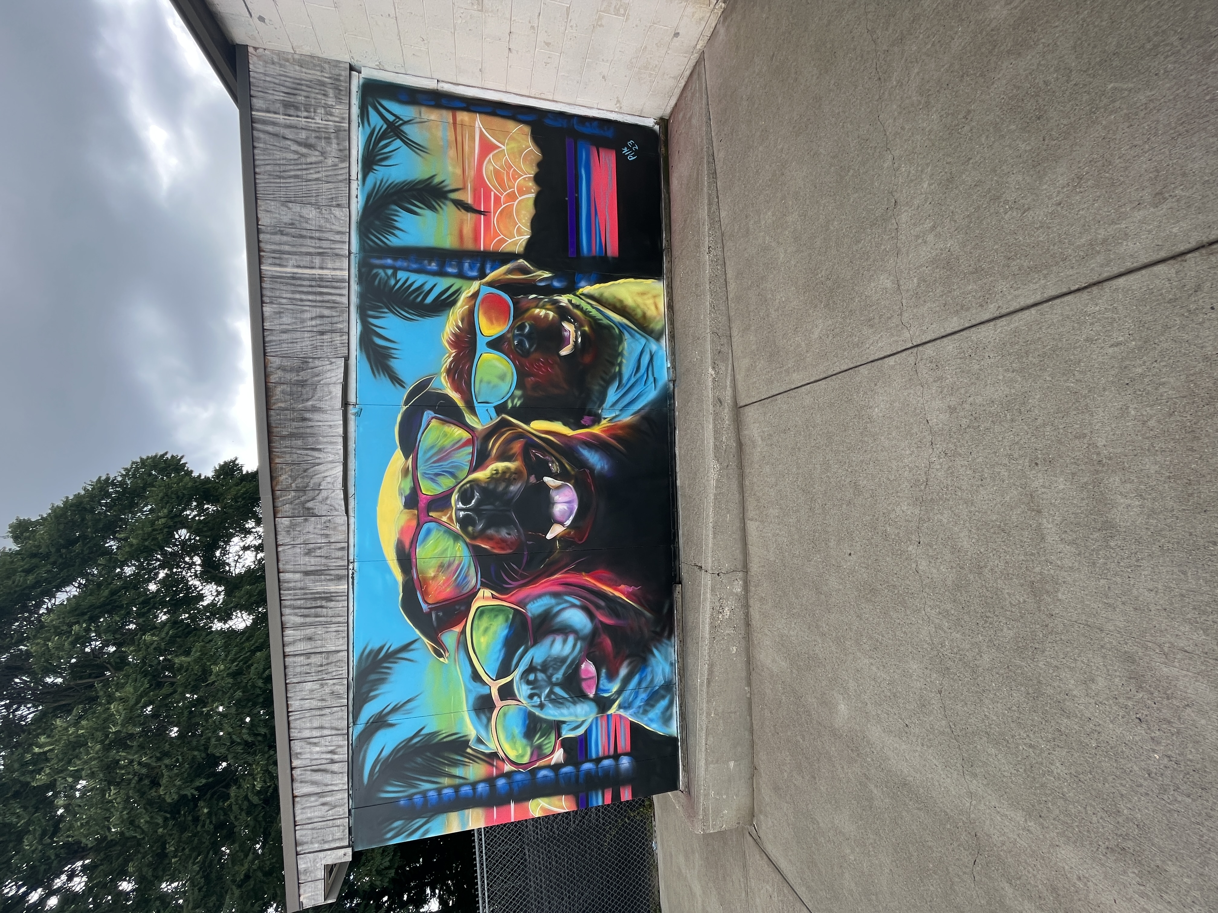 Vibrant graphic mural of cool dogs wearing sunglasses with sunset, palms and beachy tropical vibes on commercial exterior