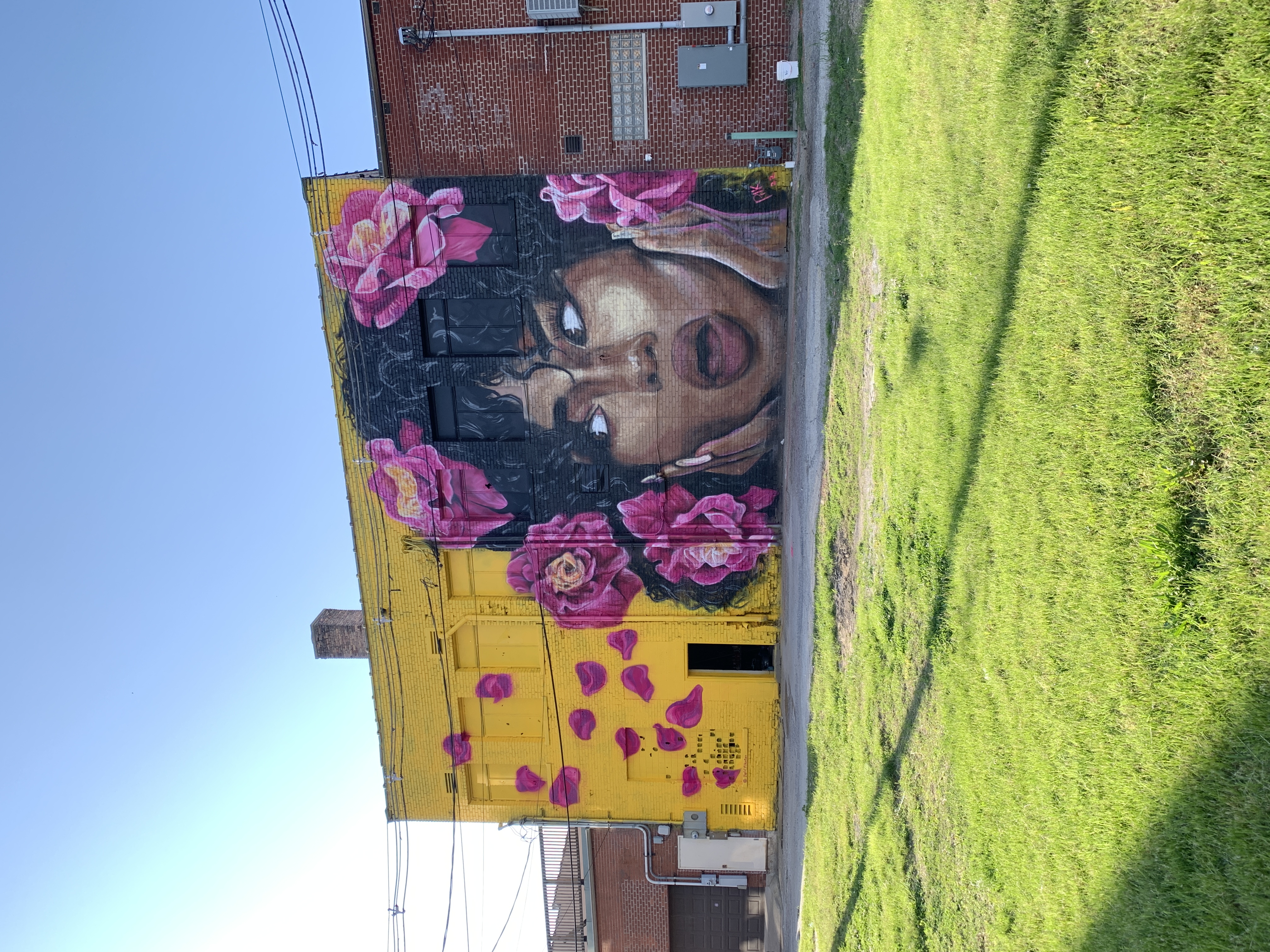 Striking photorealistic portrait of woman with massive pink roses on yellow and black brick commercial building exterior
